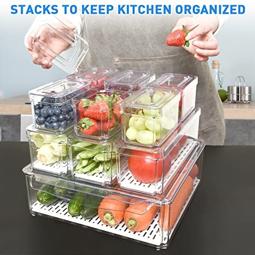 Pomeat pack fridge - pomeat,